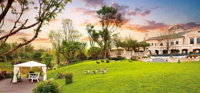 1613996011299751.jpg 6369370155053125009047195.jpg